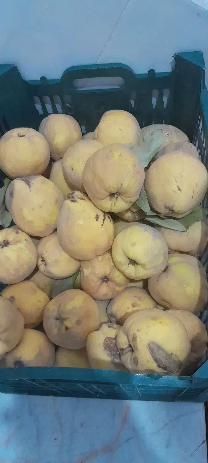 به شیرین و خوش طعم|خوردنی و آشامیدنی|سبزوار, امیریه|دیوار