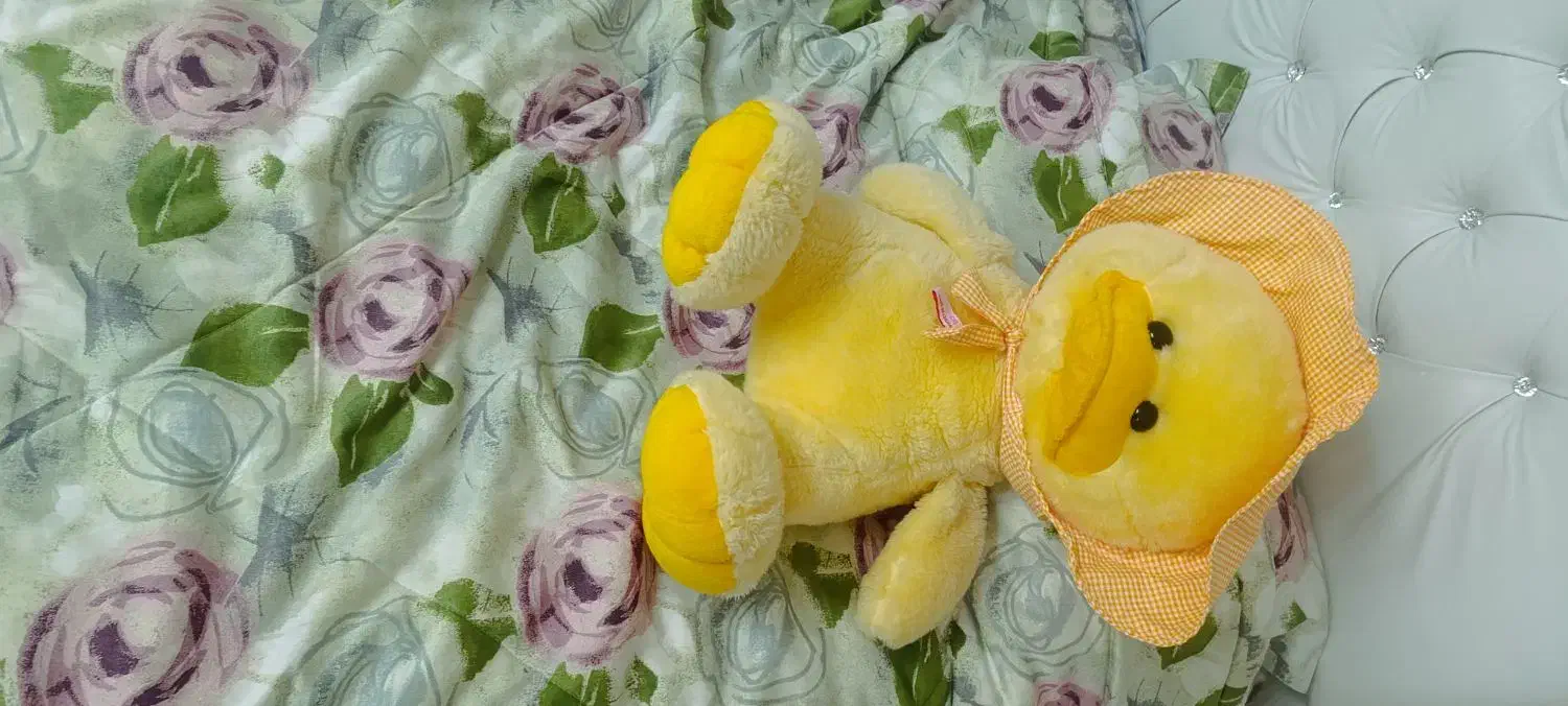 عروسک نو|اسباب‌بازی بچه|کرمانشاه, |دیوار