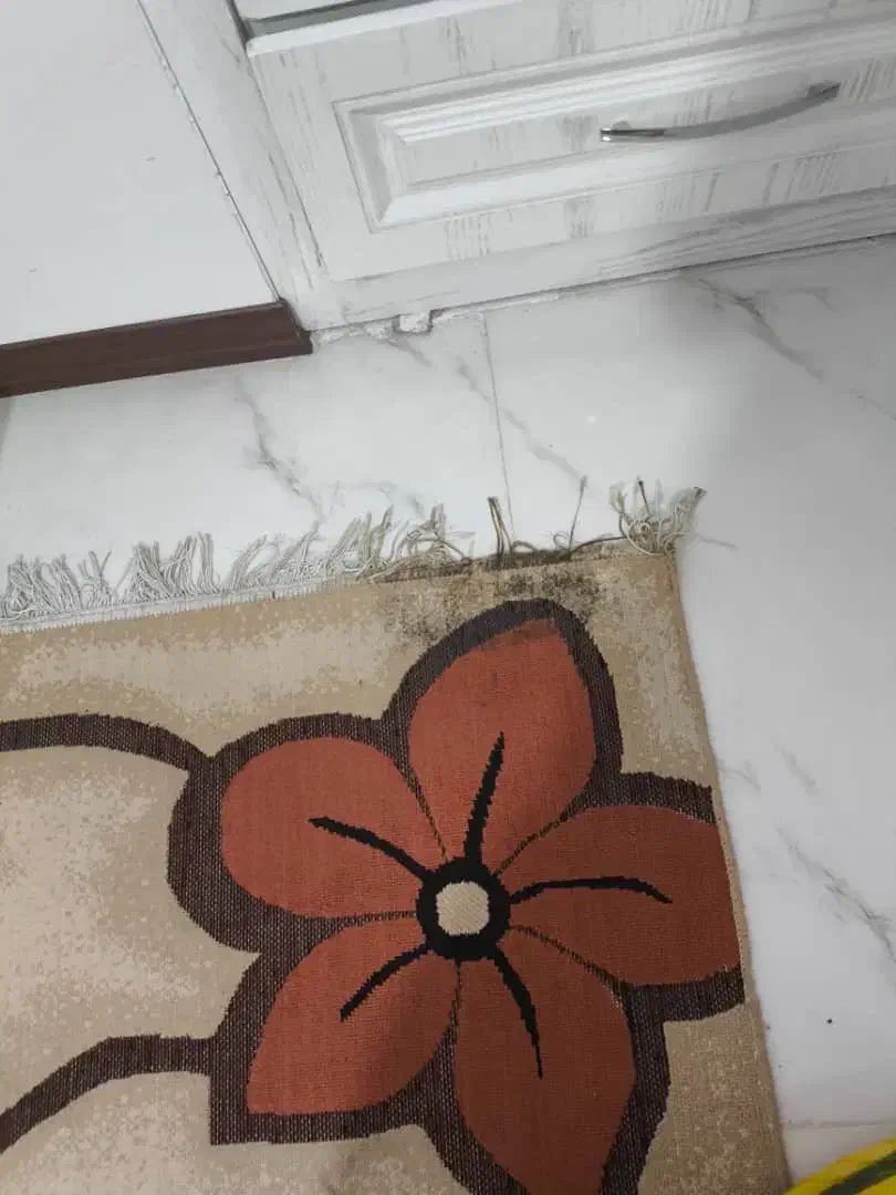 فرش|فرش|مشهد, امیریه|دیوار