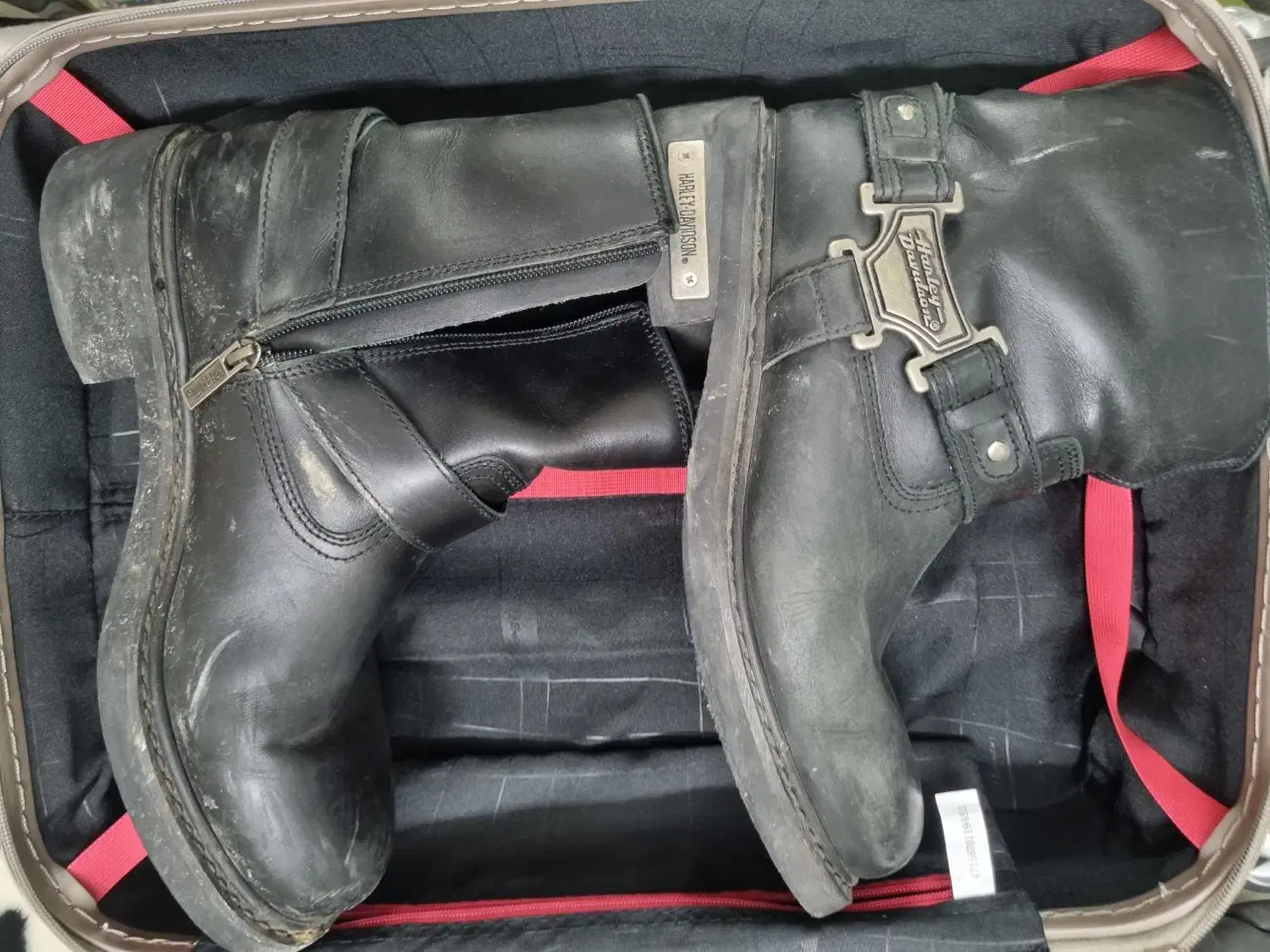 کفش چکمه مارک هالی داوینسون امریکایی|کیف، کفش، کمربند|شاهرود, |دیوار