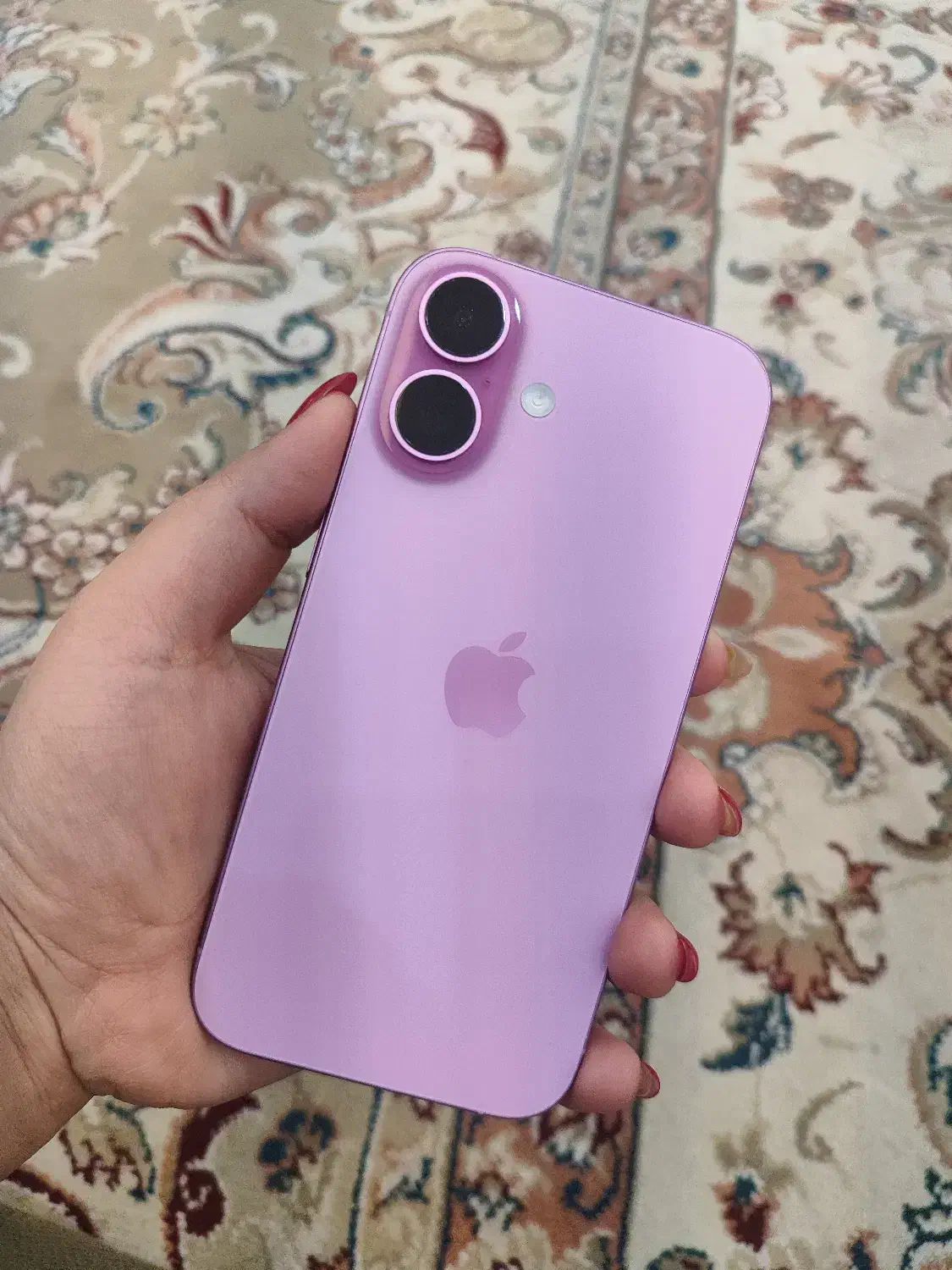 آیفون ۱۶|موبایل|مشهد, نوید|دیوار