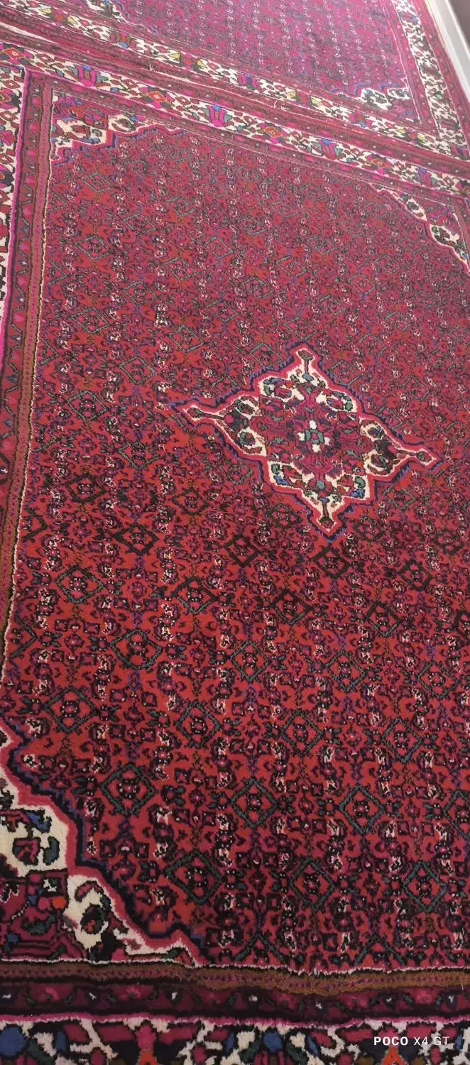 یک جفت فرش ازندریان ۶متری گوشتی و سالم|فرش|همدان, |دیوار