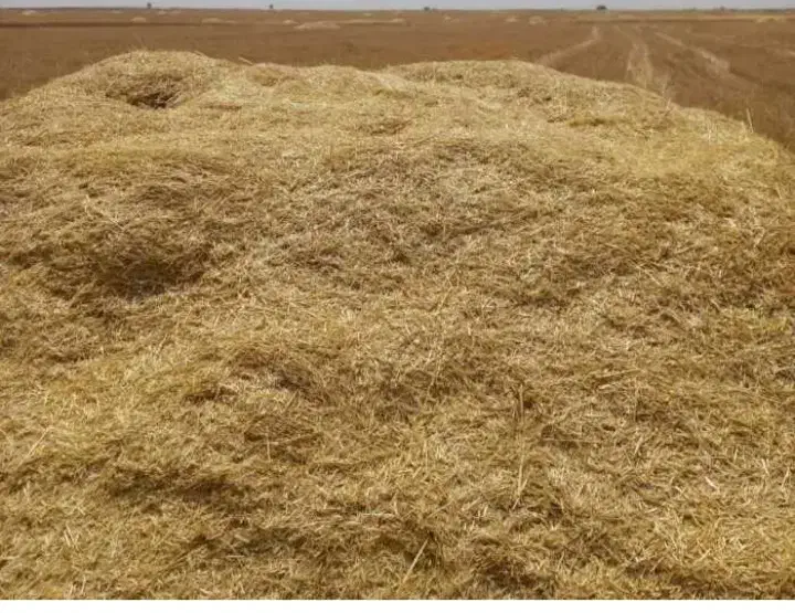 کاه گندم|خدمات باغبانی و درختکاری|الشتر, |دیوار