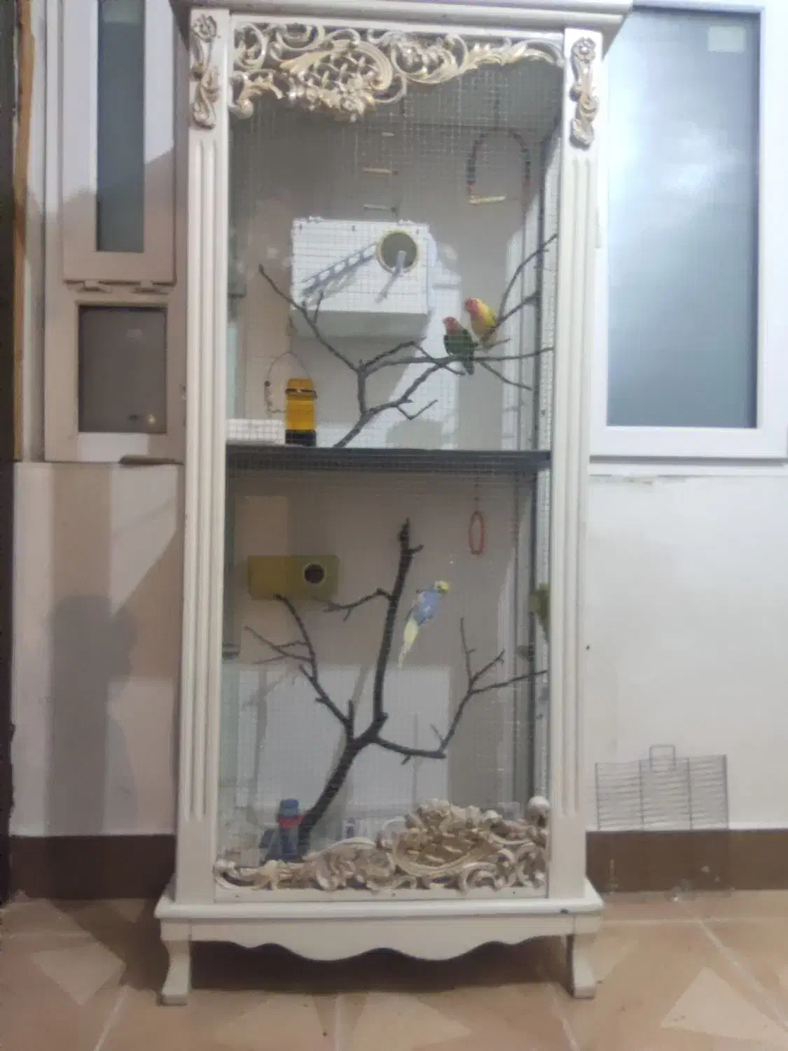 قفس پرنده|لوازم جانبی حیوانات|خوی, |دیوار