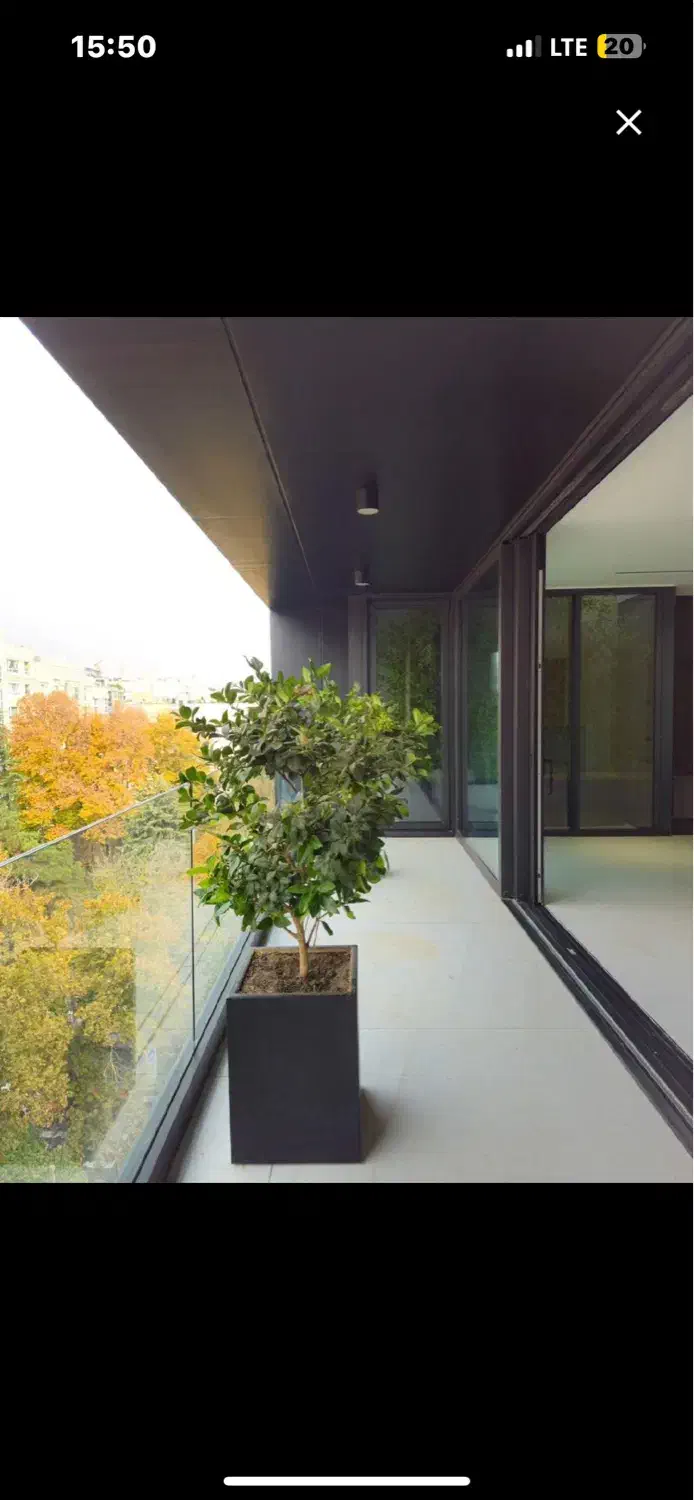 قیطریه ۲۵۰ متر ( بدون مشابه-۳ پارکینگ)|فروش آپارتمان|تهران, قیطریه|دیوار