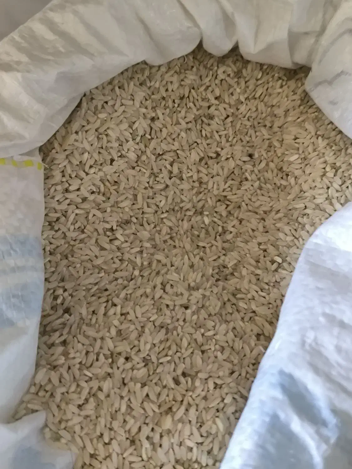 برنج چمپا|خوردنی و آشامیدنی|یاسوج, |دیوار