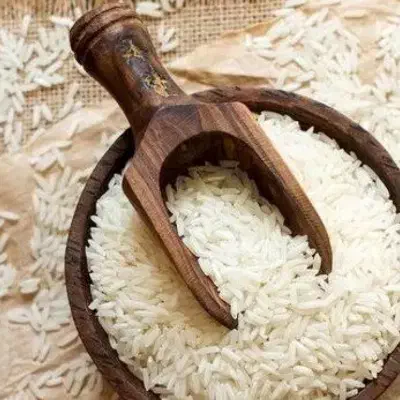 برنج مغان شمال رشت و|عمدهفروشی|پارسآباد, |دیوار