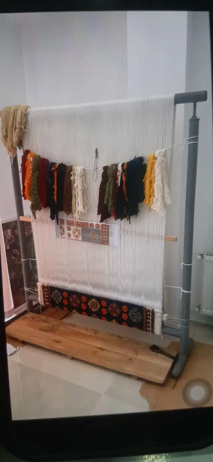 فروش دار قالی|گلیم، جاجیم، گبه|نوشهر, |دیوار