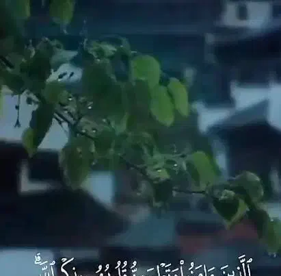 دیروز عصری در خادم الشریعه|اشیا|مشهد, شهرک امام هادی (شهرک غرب)|دیوار