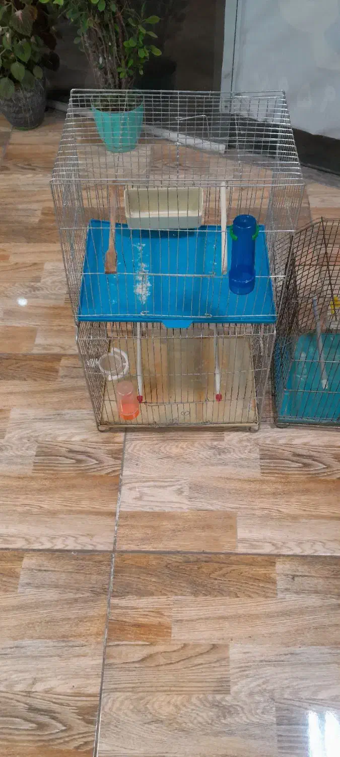 قفس سه عدد متوسط ویک عدد بزرگ جای طوطی|لوازم جانبی حیوانات|سنندج, |دیوار