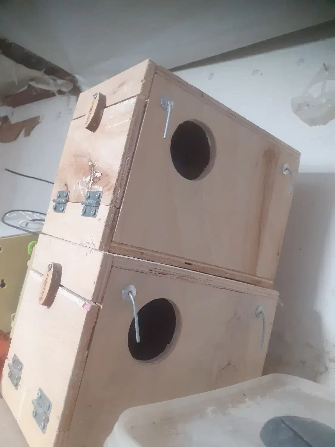 انواع لانه|پرنده|شیراز, شریفآباد|دیوار