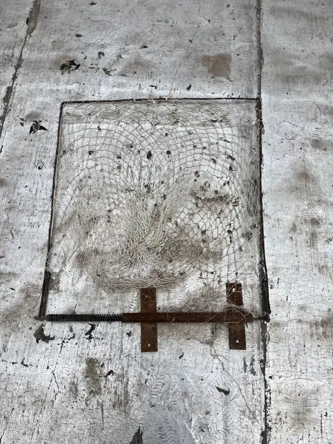 تله|لوازم جانبی حیوانات|سبزوار, کاشفی شمالی (دادگستری)|دیوار