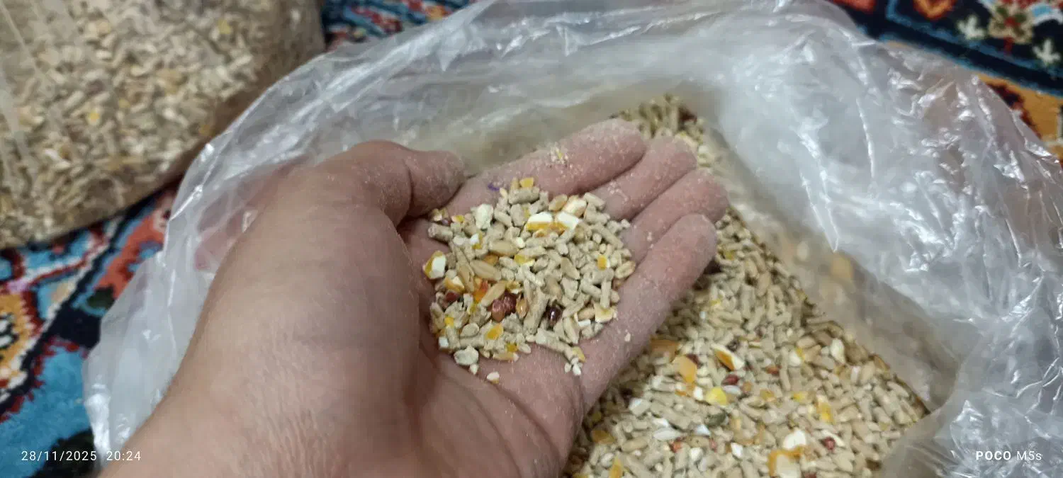 دان|لوازم جانبی حیوانات|تهران, شهید رجایی|دیوار