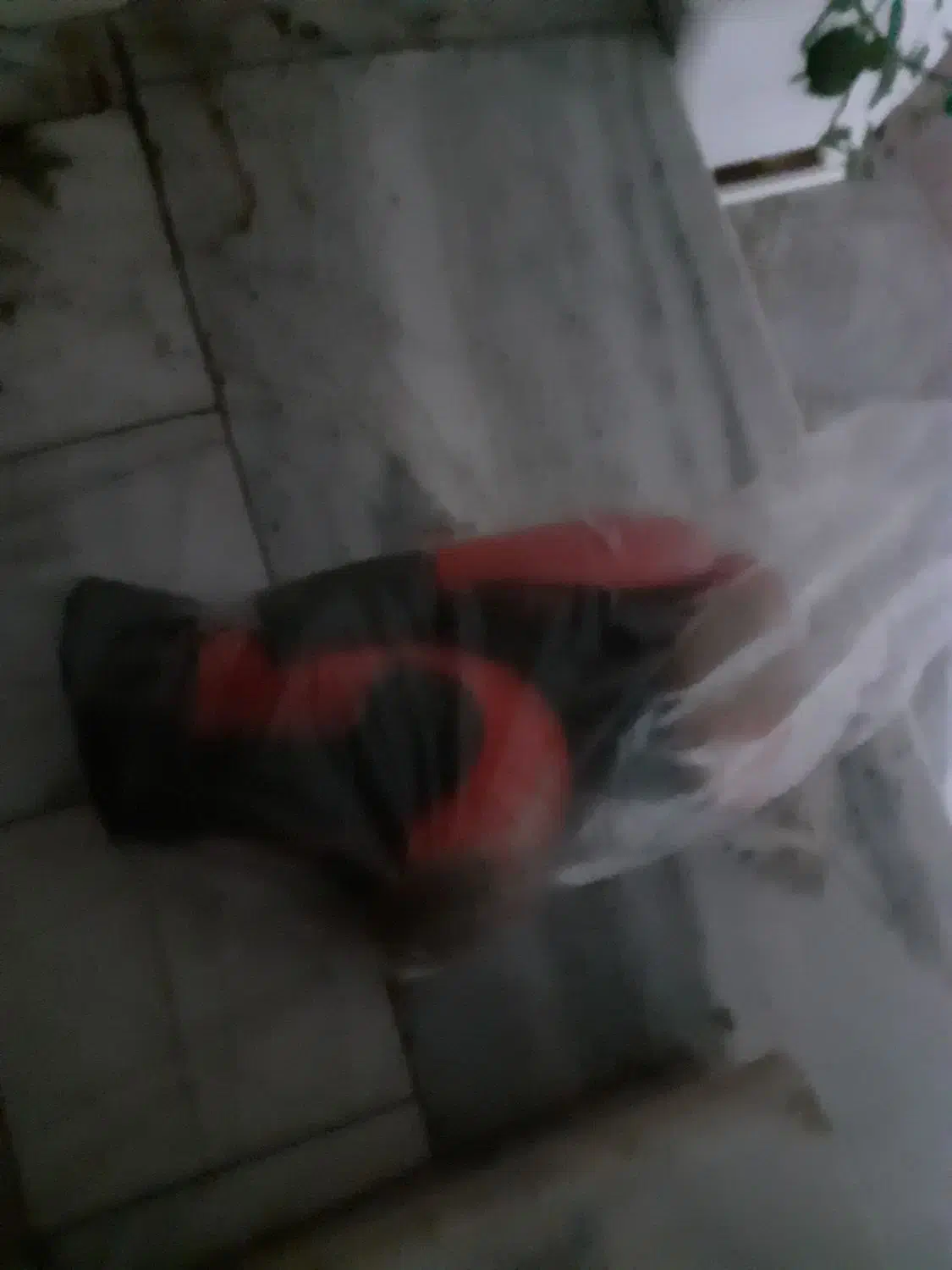 دستکش بوکس نو|تجهیزات ورزشی|شاهین‌شهر, بوستان حافظ|دیوار