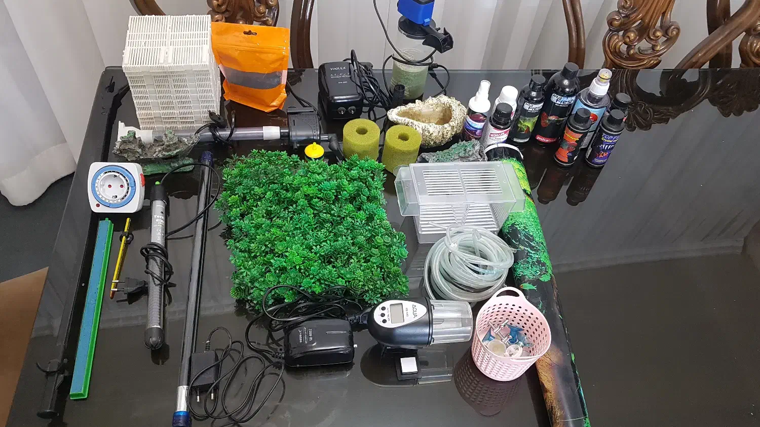 آکواریوم|ماهی|پرند, فاز ۶|دیوار