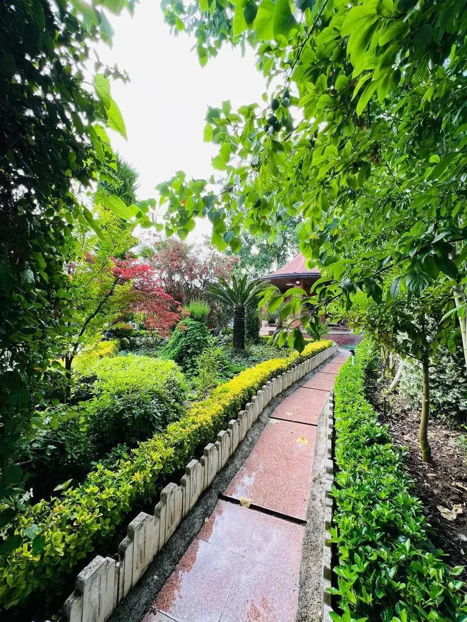 ساخت ویلای شما با معمار و مهندس ناظر ٪مبلغ بهینه|مشارکت در ساخت املاک|چمستان, |دیوار