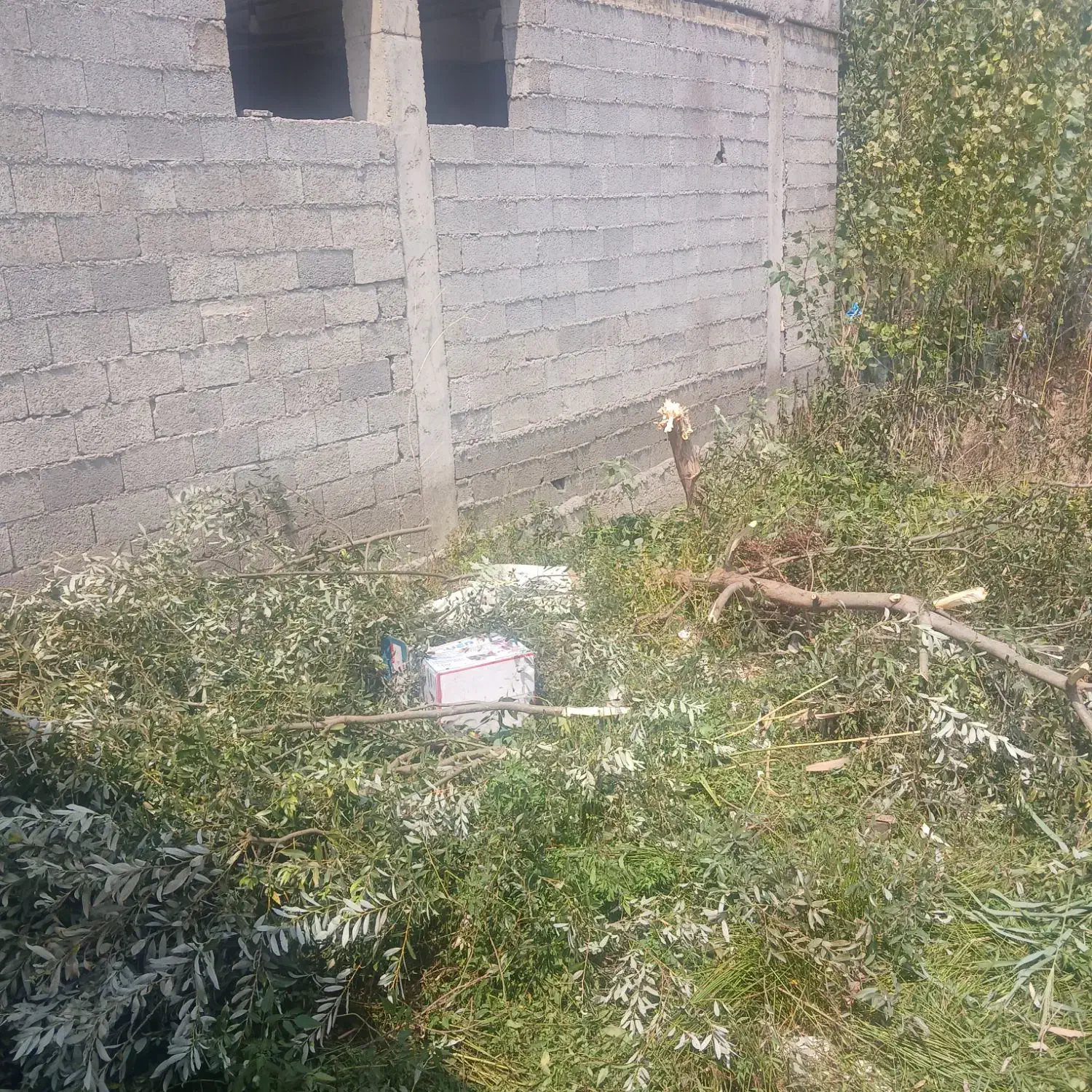 زمین متراز ۱۳۴ متر مربع مسکونی|فروش زمین و ملک کلنگی|رشت, خرسندی|دیوار