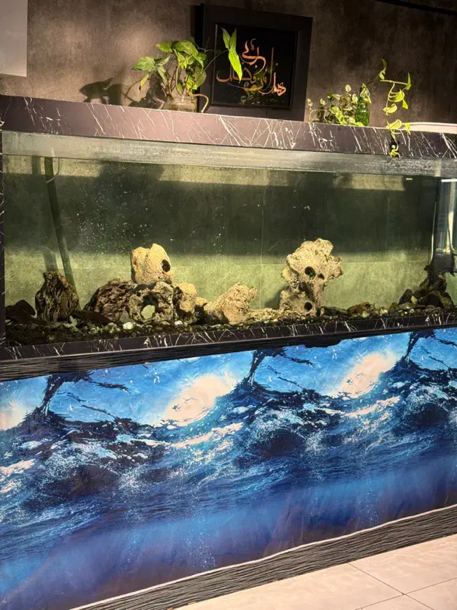 آکواریوم ۲ متری|ماهی|مشهد, کوشش|دیوار