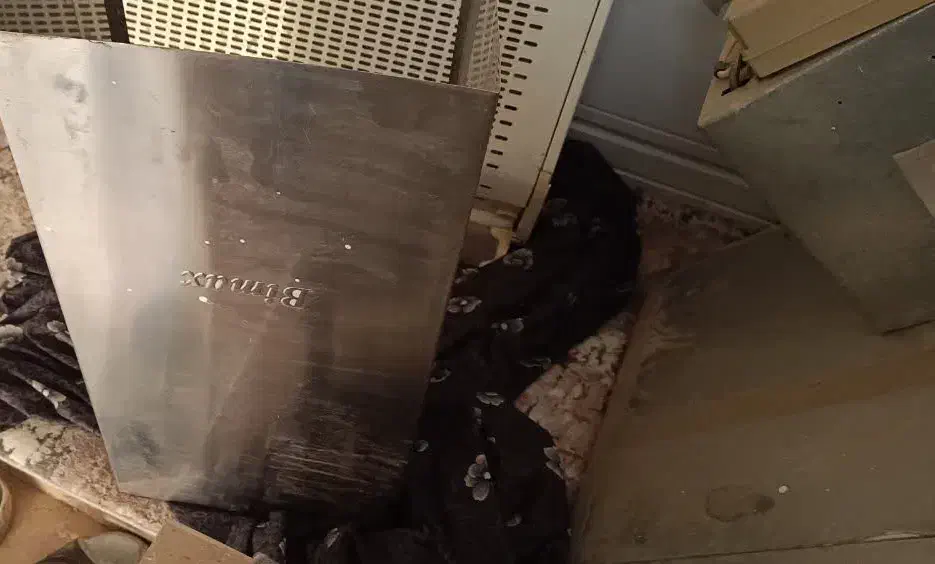 هود|هود|قم, نخودی|دیوار