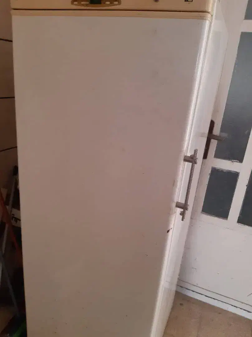 فریزر تک|یخچال و فریزر|بندر ماهشهر, |دیوار