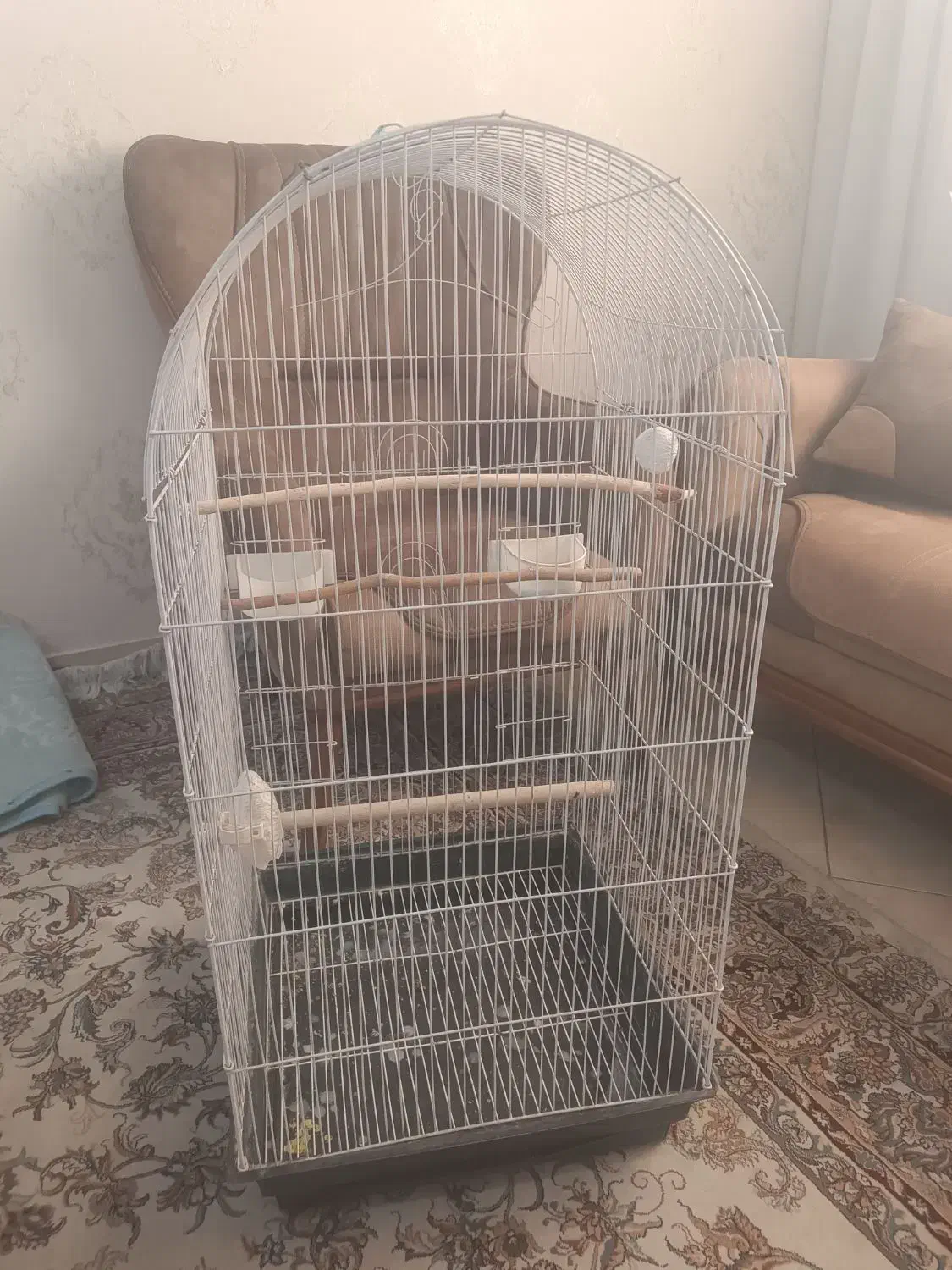 قفس|لوازم جانبی حیوانات|تهران, مسعودیه|دیوار