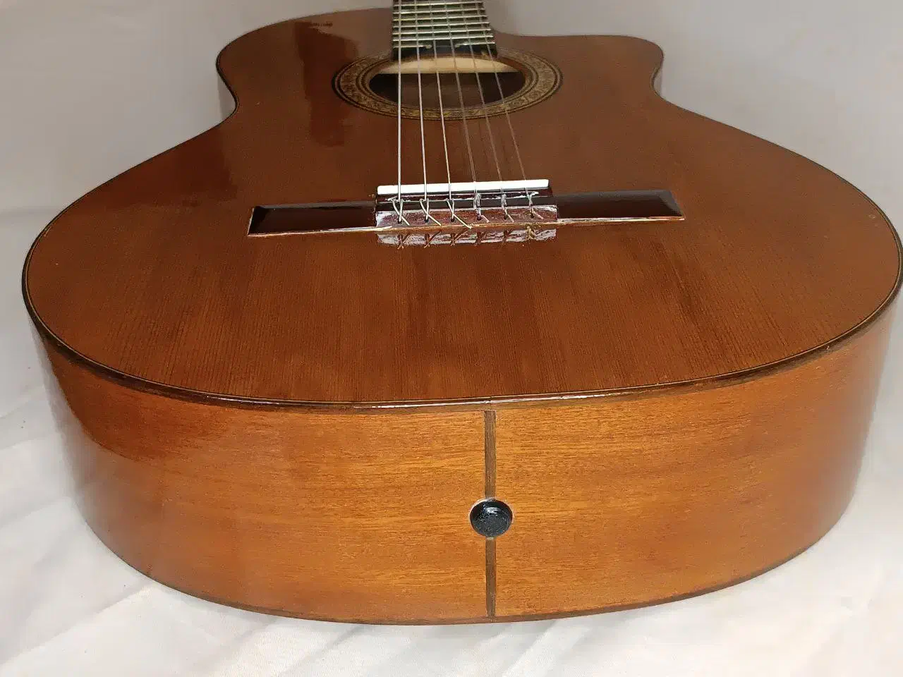 گیتار Prudencio Saez مدل 50 Cutaway|گیتار، بیس، امپلیفایر|رشت, گلسار|دیوار