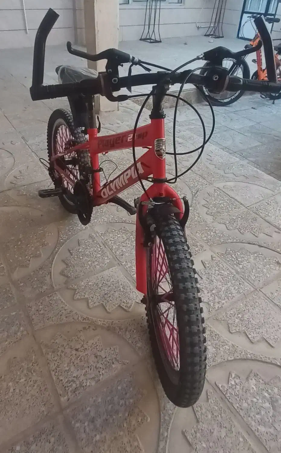 دوچرخه المپیاد سایز ۲۱|دوچرخه، اسکیت، اسکوتر|کبودرآهنگ, |دیوار