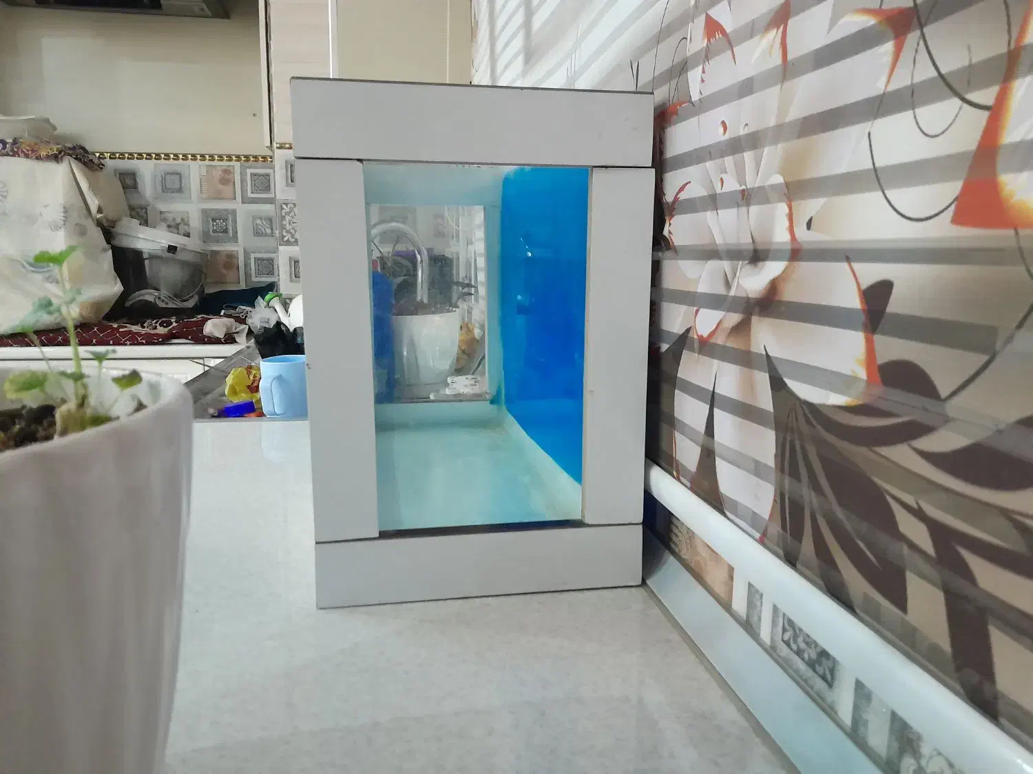 آکواریم|ماهی|اسلامشهر, مظفریه|دیوار