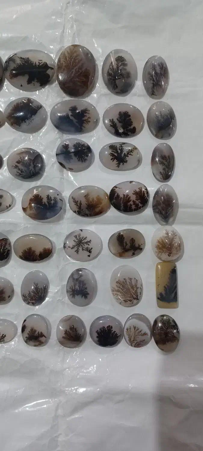 شجر|جواهرات|مشهد, قائم|دیوار