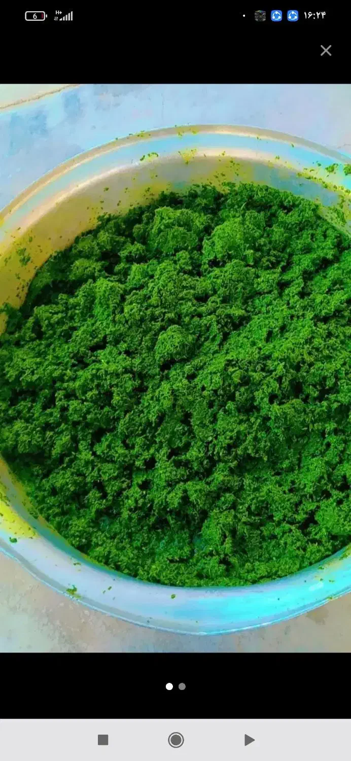 سبزی وبرنج چمپا موجوده|خوردنی و آشامیدنی|رامهرمز, |دیوار