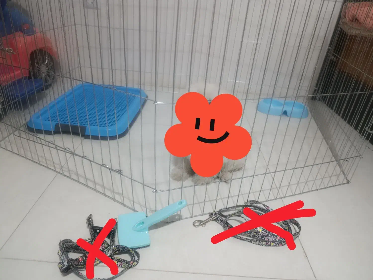 وسایل سگ|لوازم جانبی حیوانات|فردیس, نگارستان|دیوار