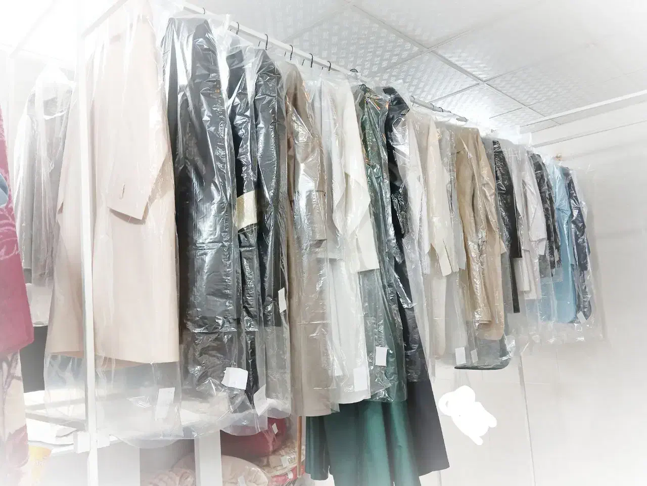 خشکشویی و پتوشویی پرتو|خدمات نظافت|زاهدان, |دیوار