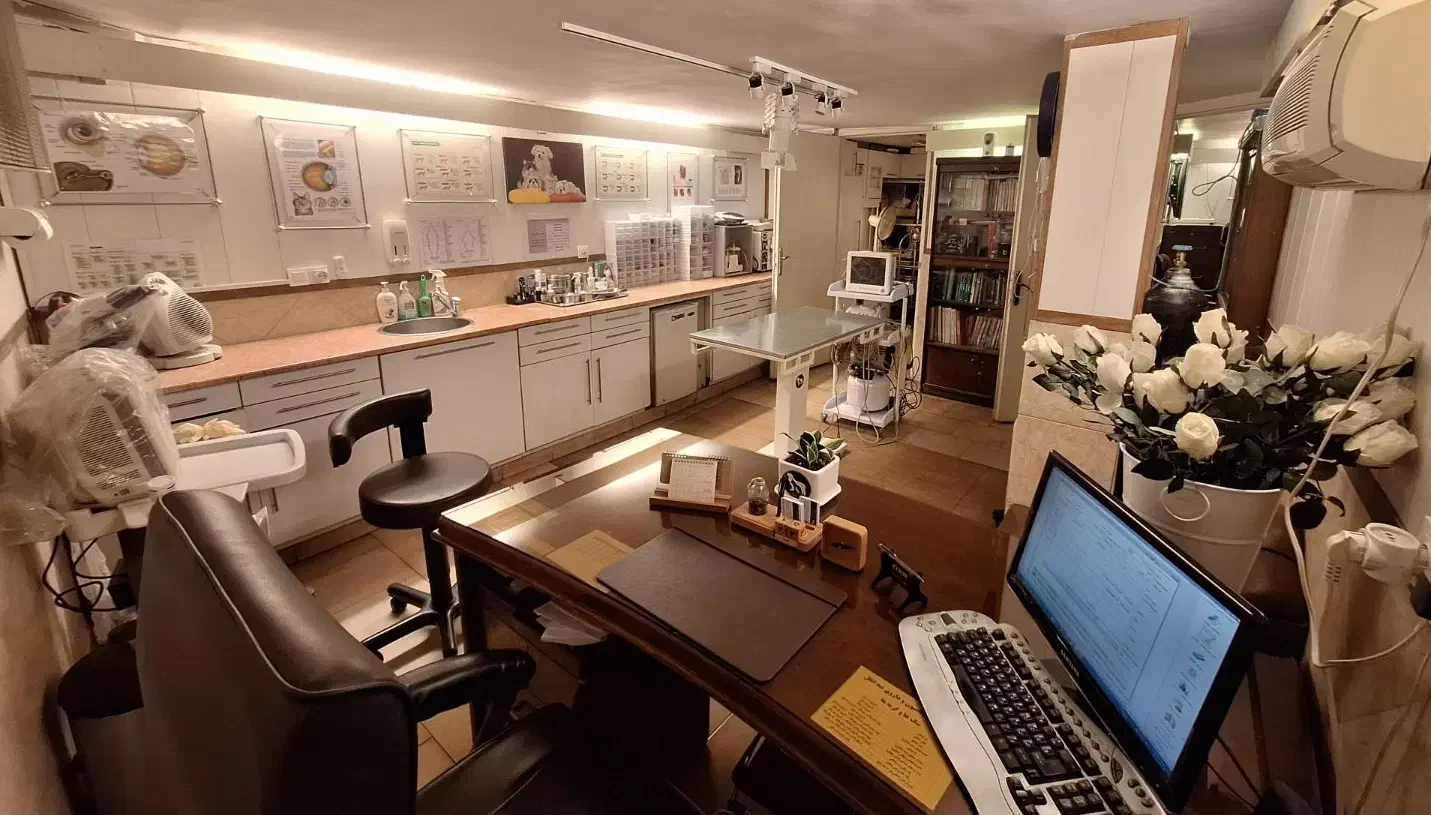 دستیار دامپزشک آقا شنبه تا پنجشنبه|استخدام درمانی، زیبایی، بهداشتی|تهران, امیرآباد|دیوار