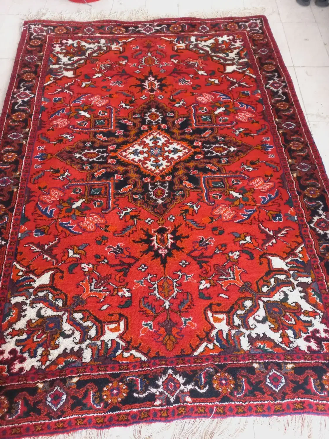 فرش دستباف تکی ۶ متری نو نو|فرش|تبریز, |دیوار