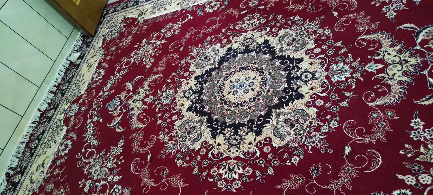 فرش|فرش|داراب, |دیوار