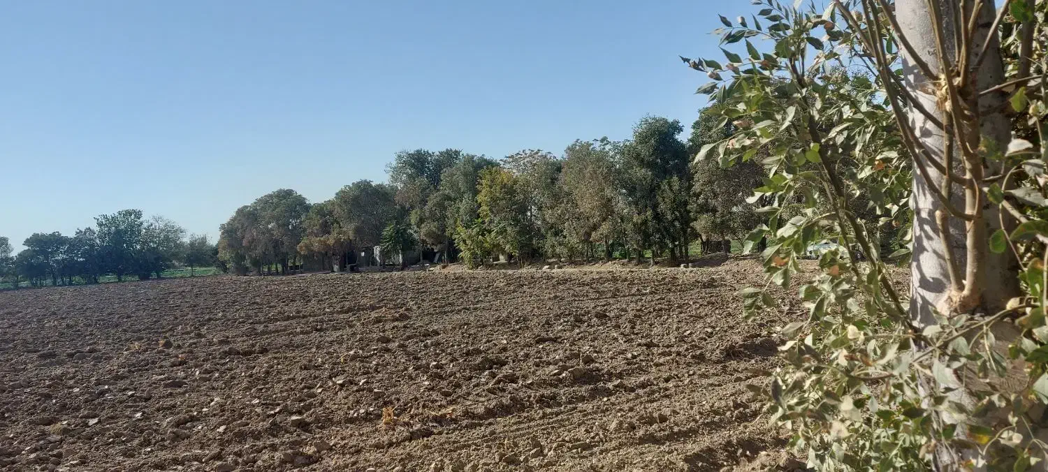 زمین کشاورزی|فروش دفتر صنعتی، کشاورزی، تجاری|ری, شهرک نظامی|دیوار