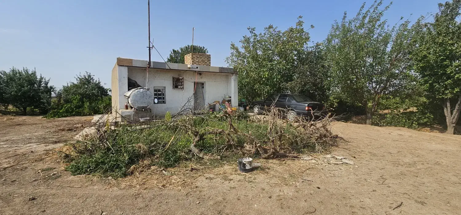 باغ انگور گردو بادام|فروش دفتر صنعتی، کشاورزی، تجاری|تهران, شهرک شریعتی|دیوار