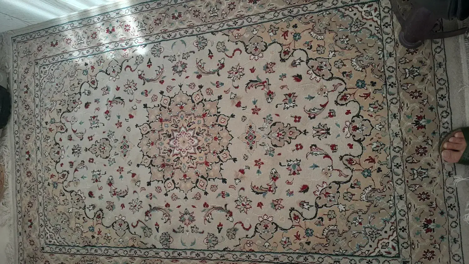 فرش ماشبنی|فرش|شاندیز, |دیوار