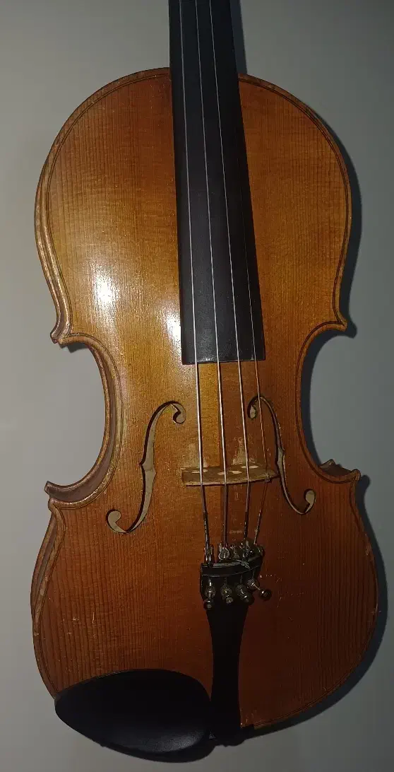 ویولن اشتاینر آلمانی|ویولن|لواسان, |دیوار