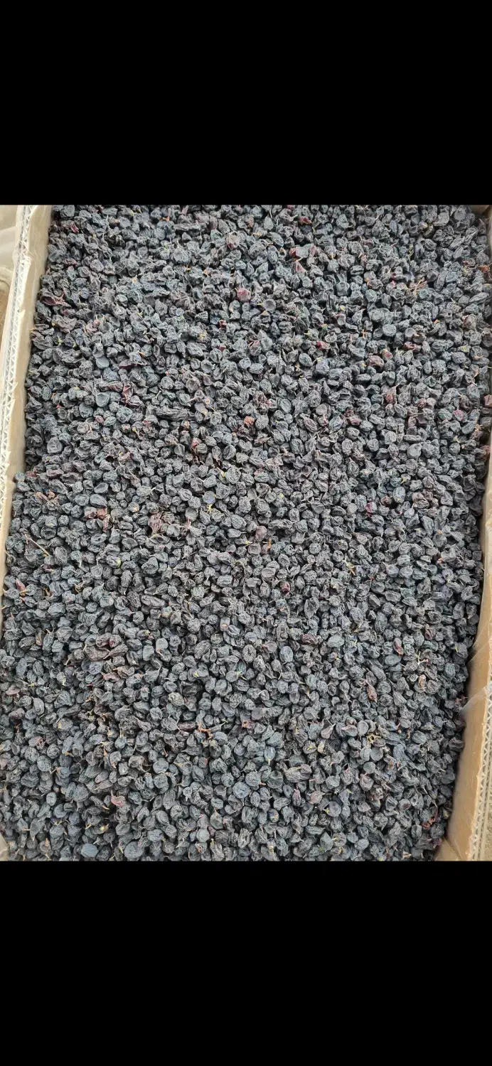 مویزسیاه بدون هسته|عمدهفروشی|دشمن زیاری, |دیوار