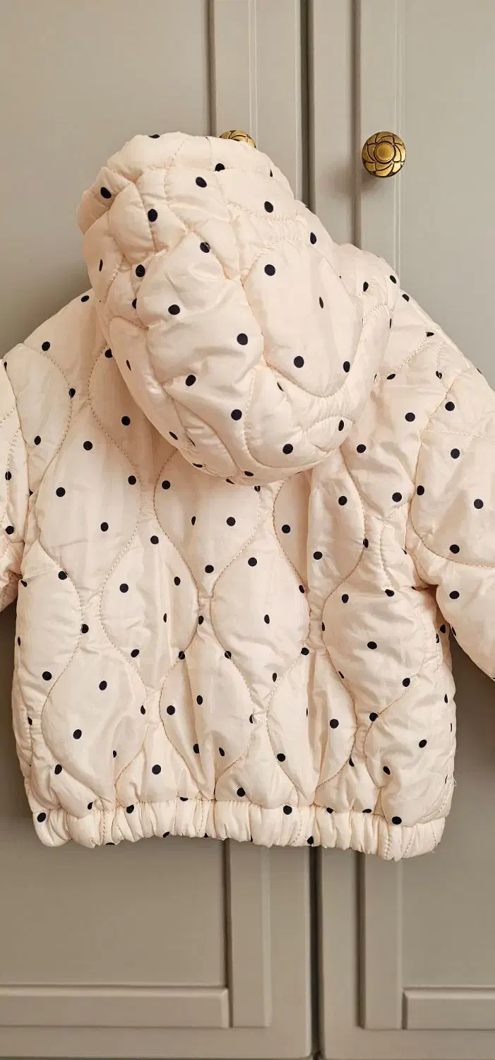 کاپشن ال سی واکیکی ۲ تا ۳ سال|کفش و لباس بچه|ری, دیلمان|دیوار