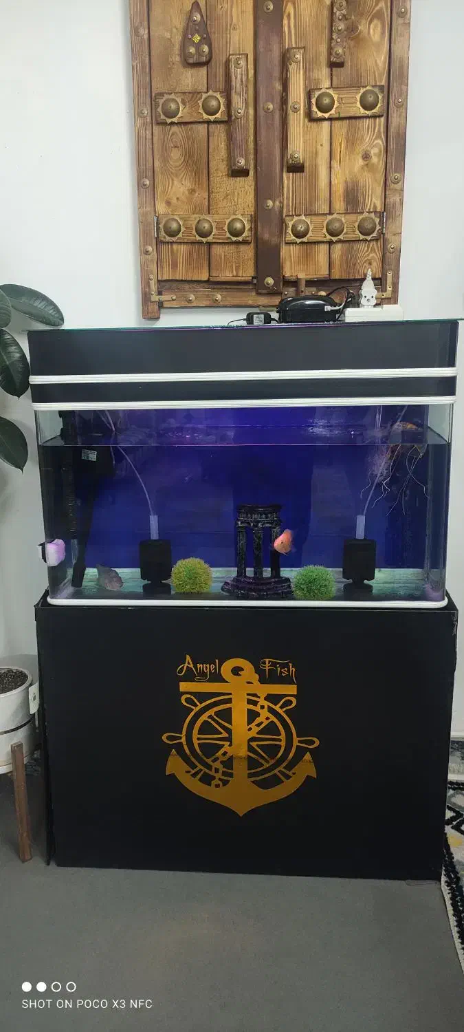 فروش آکواریوم بزرگ|ماهی|خرم‌آباد, |دیوار