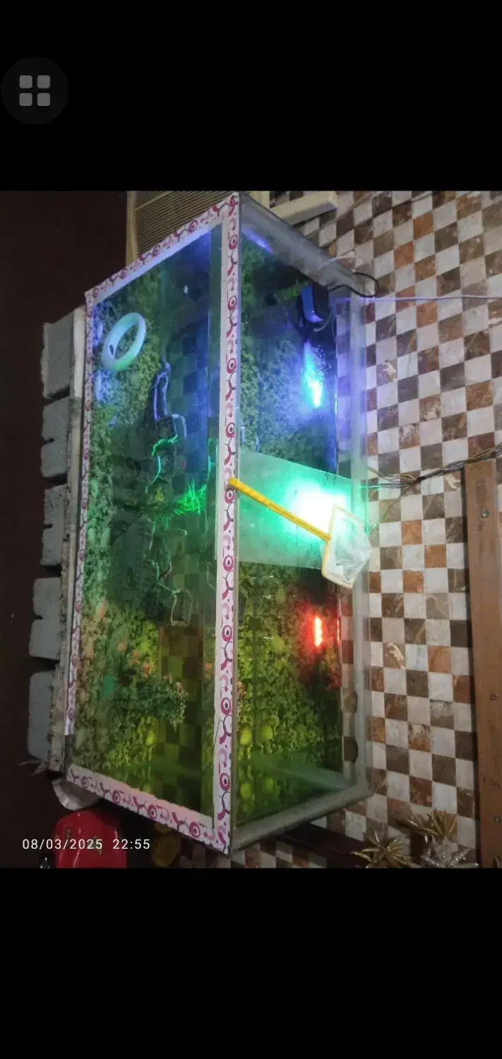 اکوایوم|ماهی|بندرعباس, |دیوار