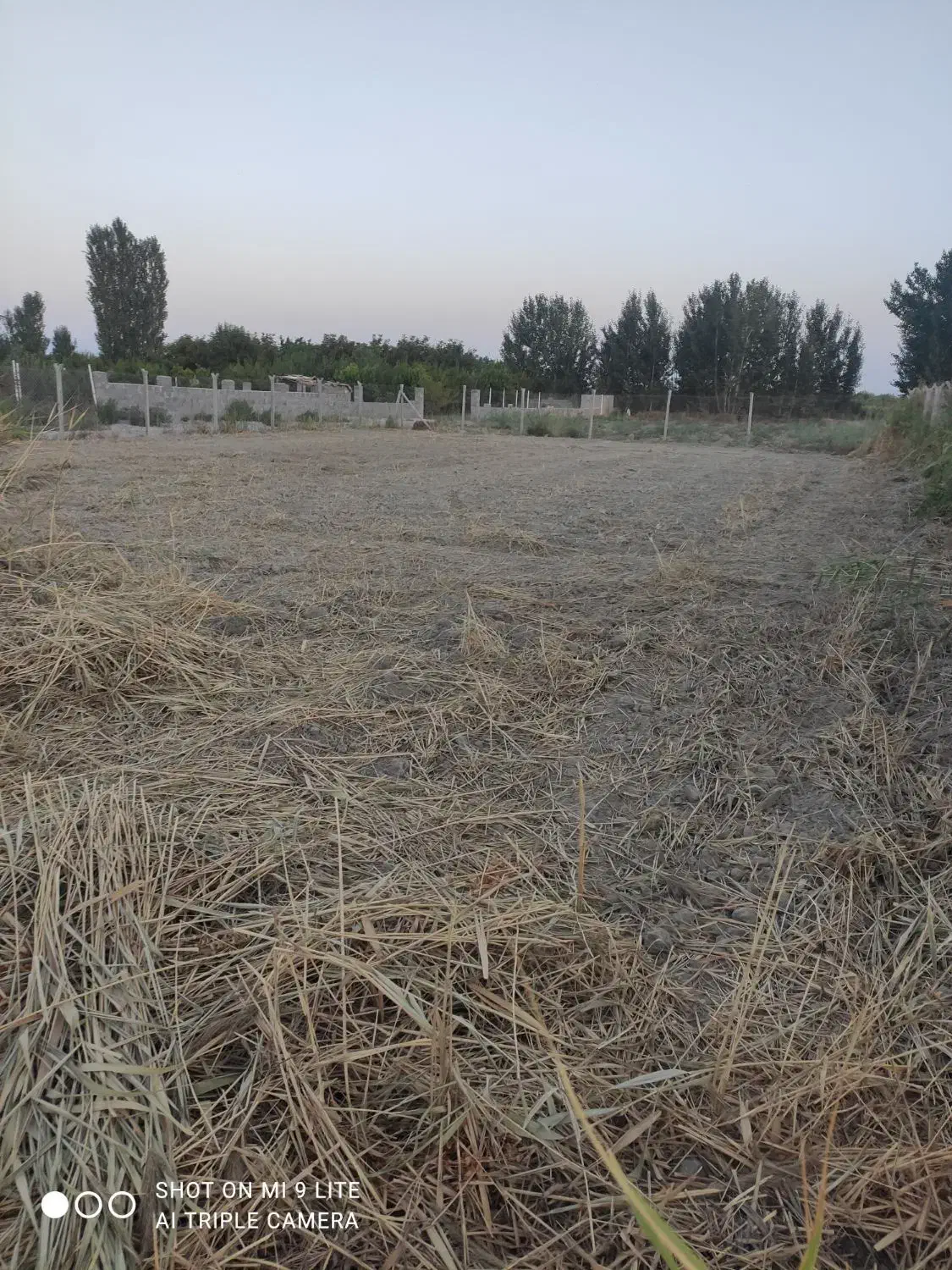 زمین 1000متر با فنس کشی جاده طلاتپه ینگجه|فروش زمین و ملک کلنگی|نوشین شهر, |دیوار