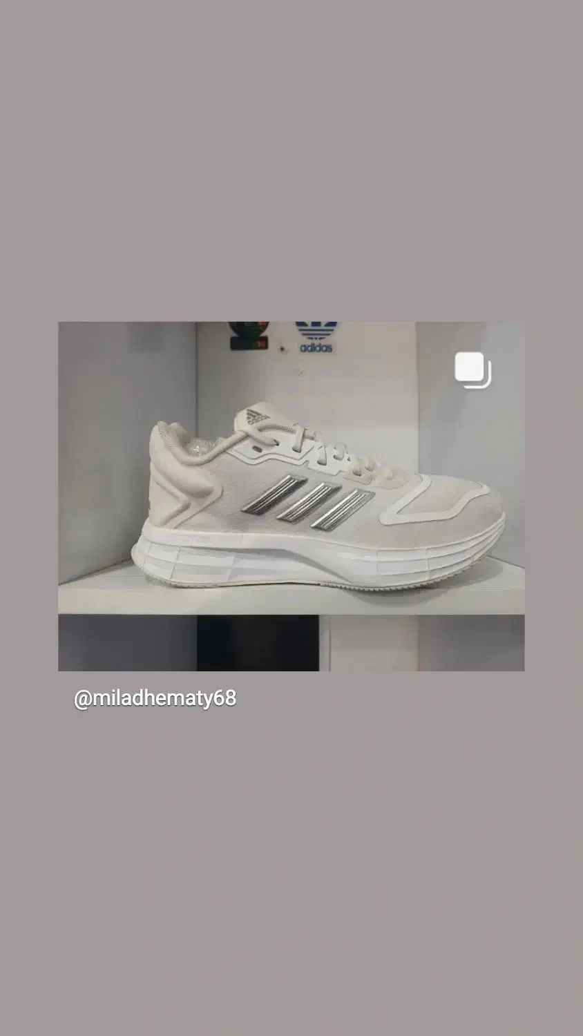 برند ادیداس سایز ۳۷|کیف، کفش، کمربند|صحنه, |دیوار