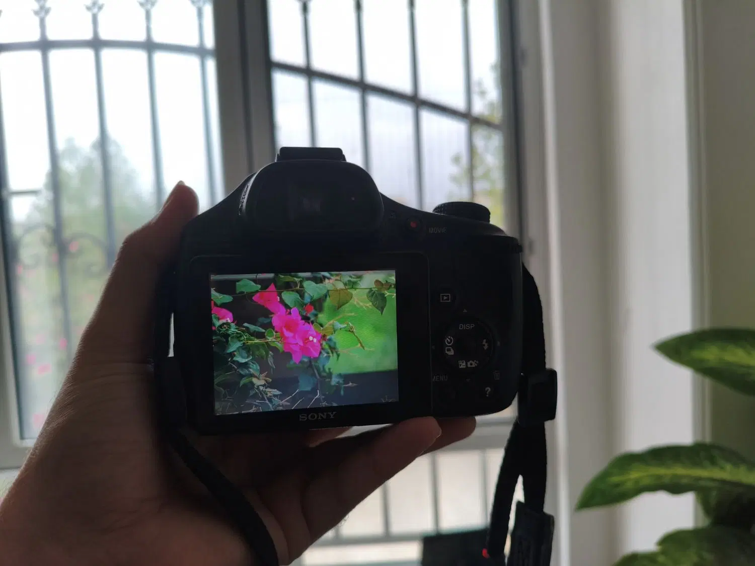 فروش دوربین DSC Sony HX 400 V|دوربین عکاسی و فیلمبرداری|رشت, پل تالشان|دیوار