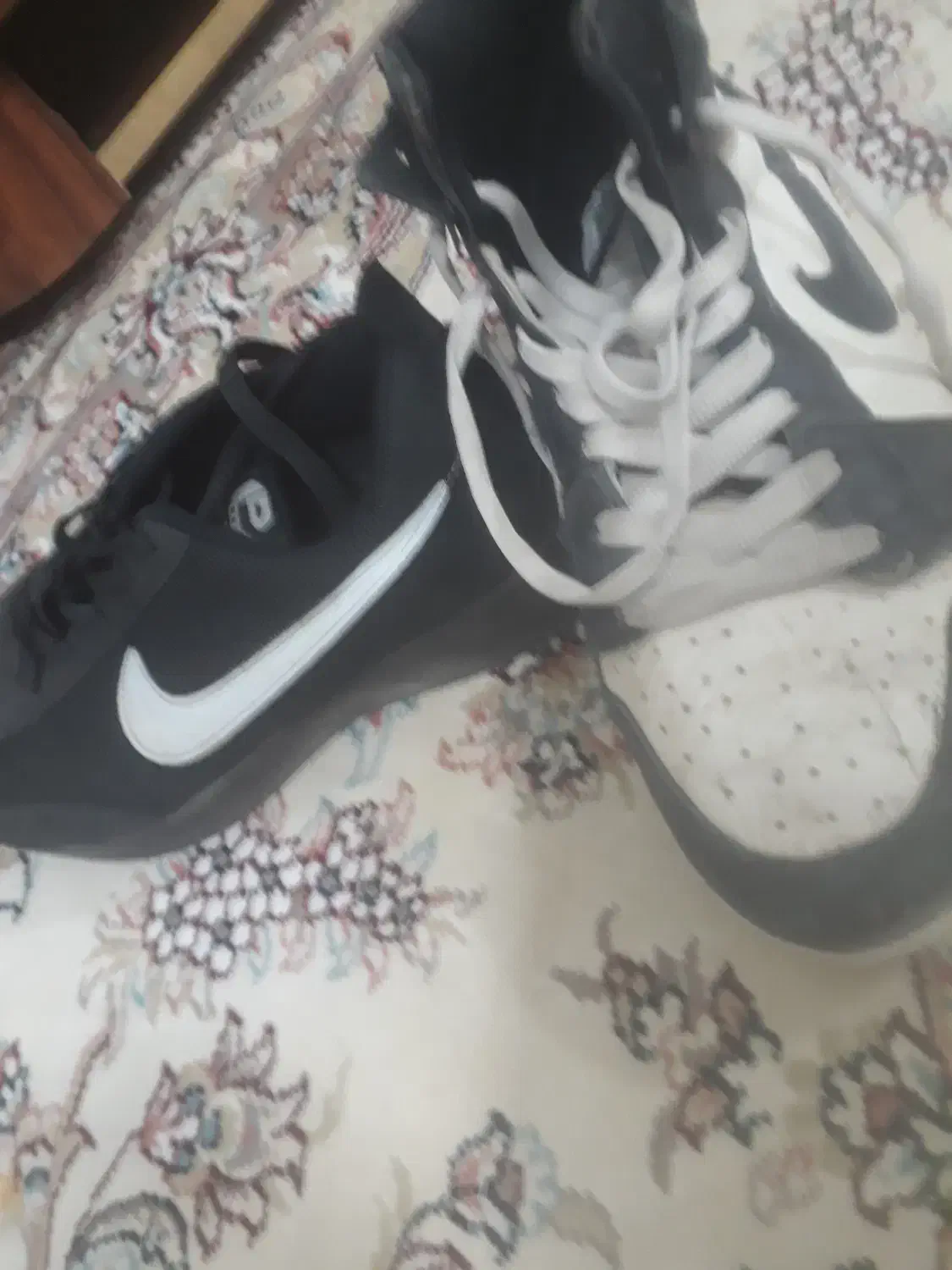 کفش|کیف، کفش، کمربند|داورزن, |دیوار