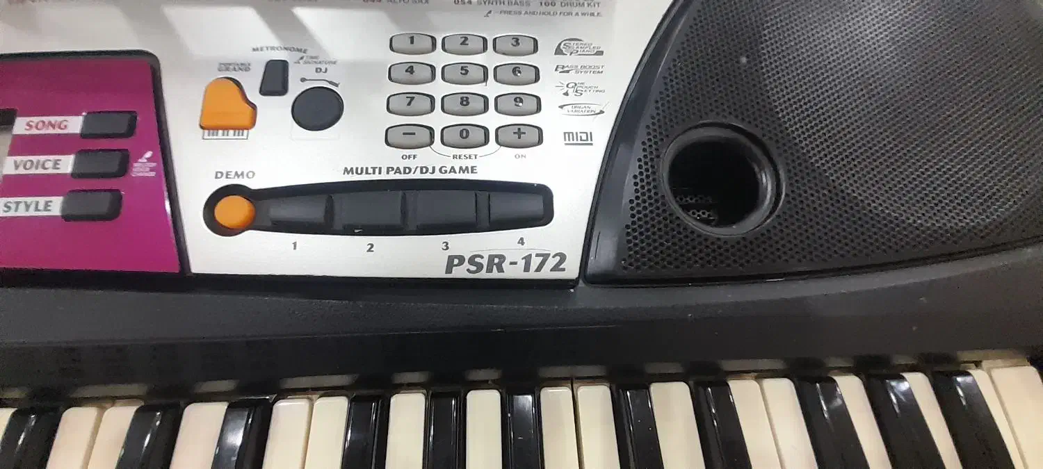 ارگ|پیانو، کیبورد، آکاردئون|رشت, دروازه لاکان|دیوار