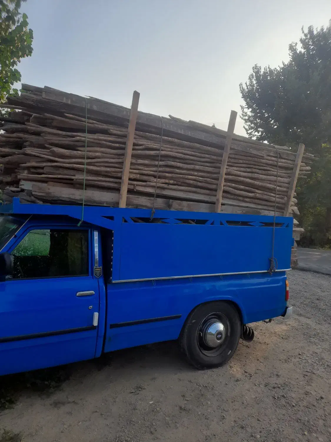 تخریب و خرید چوب|خدمات باغبانی و درختکاری|گوراب زرمیخ, |دیوار