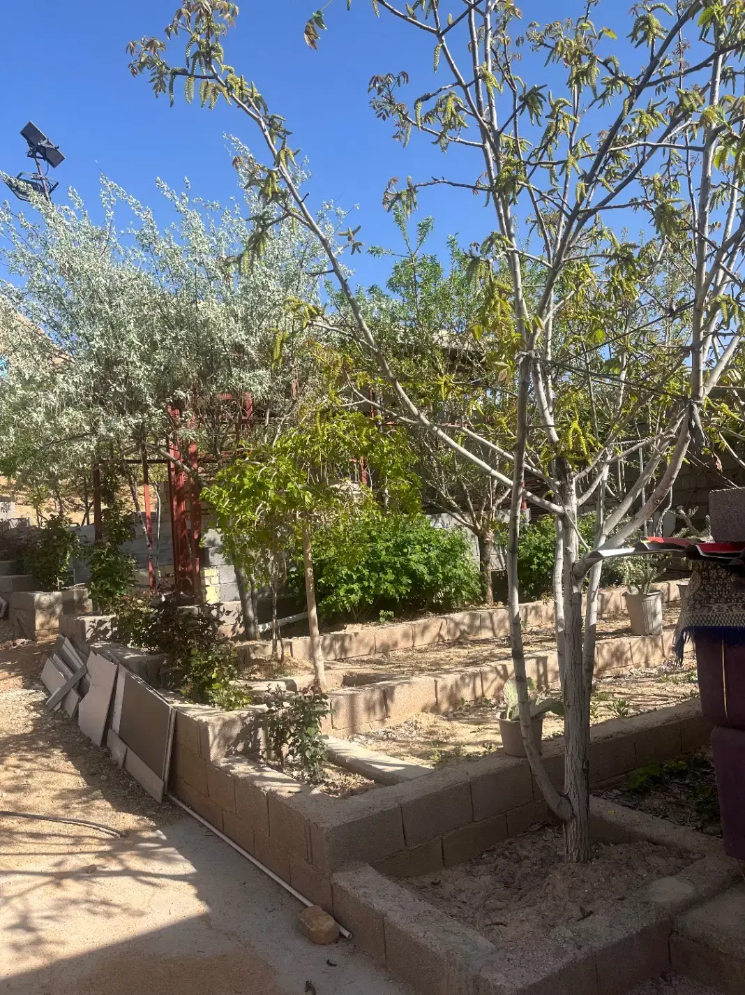 تصویر 6